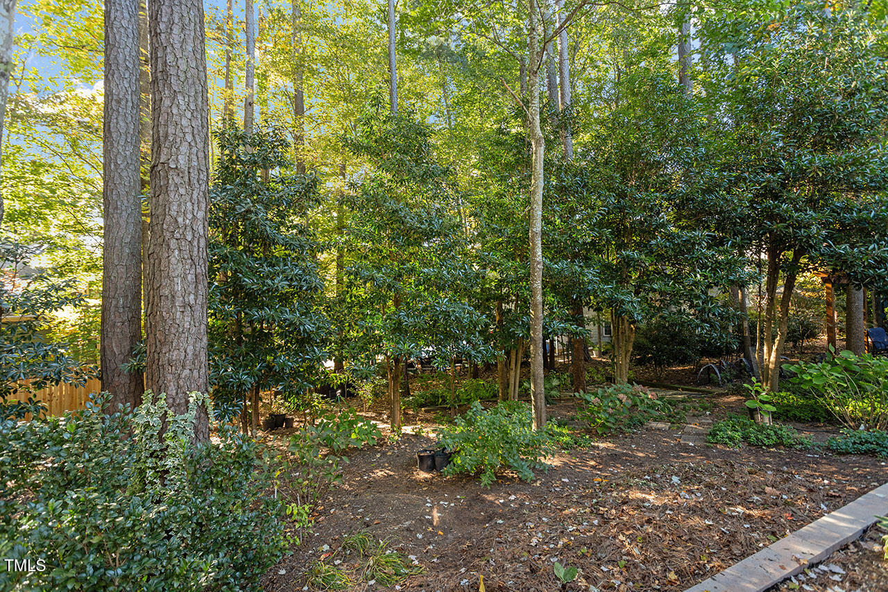 7342 Fontana Ridge Lane Raleigh, NC 27613 - Photo 23 of 26 a view of a forest with trees