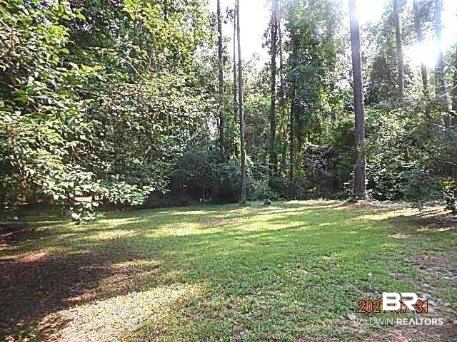 250 Montclair Loop Daphne, AL 36526 - Photo 24 of 28 Back Yard