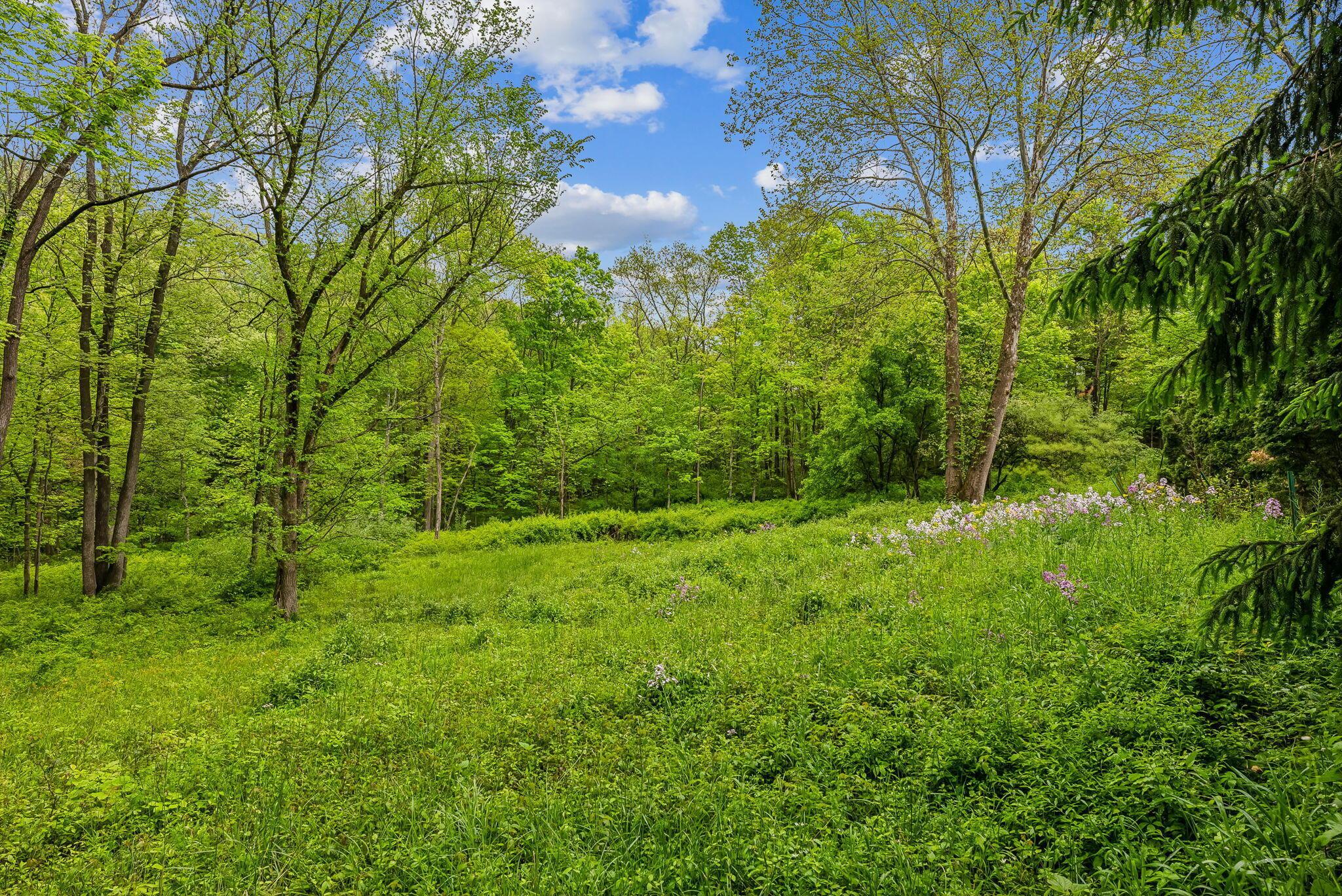 1790 Jewett Road Powell, OH 43065 - Photo 32 of 40 untouched nature