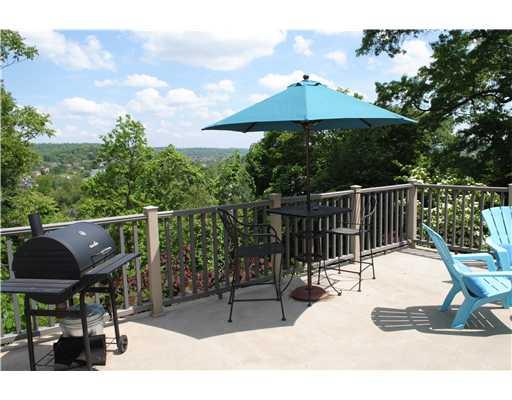 917 Wellesley Road Highland Park, PA 15206 - Photo 3 of 18 Patio/Deck. patio off the Kitchen with a view