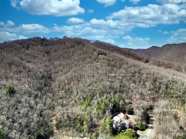 a view of a bunch of trees in a field