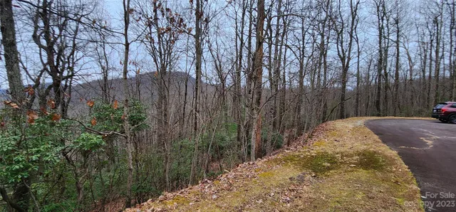 a view of a backyard with pathway