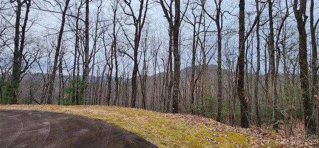 a outside view of backyard