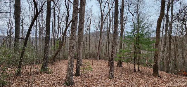 a view of backyard with trees