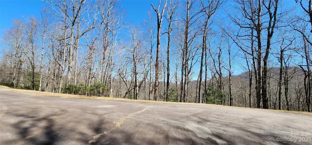 a view of a pathway with a yard