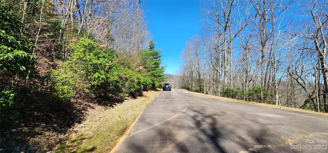 $2,001,500 | 28 Spruce Lane, Unit 28, Zirconia, NC 28790
