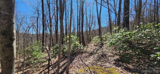 $2,001,500 | 28 Spruce Lane, Unit 28, Zirconia, NC 28790