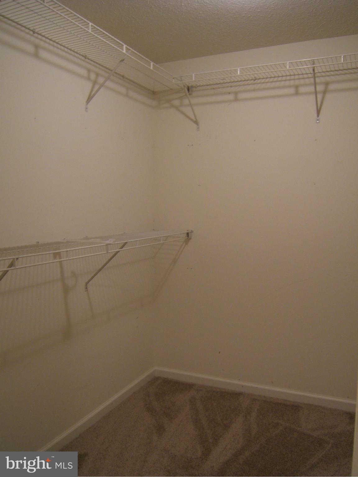 39 Poplar Rdg Trail Hedgesville, WV 25427 - Photo 15 of 30 Bedroom (Master)