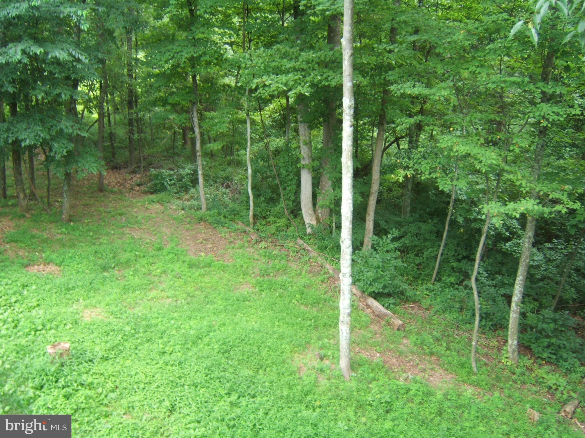 39 Poplar Rdg Trail Hedgesville, WV 25427 - Photo 30 of 30 View