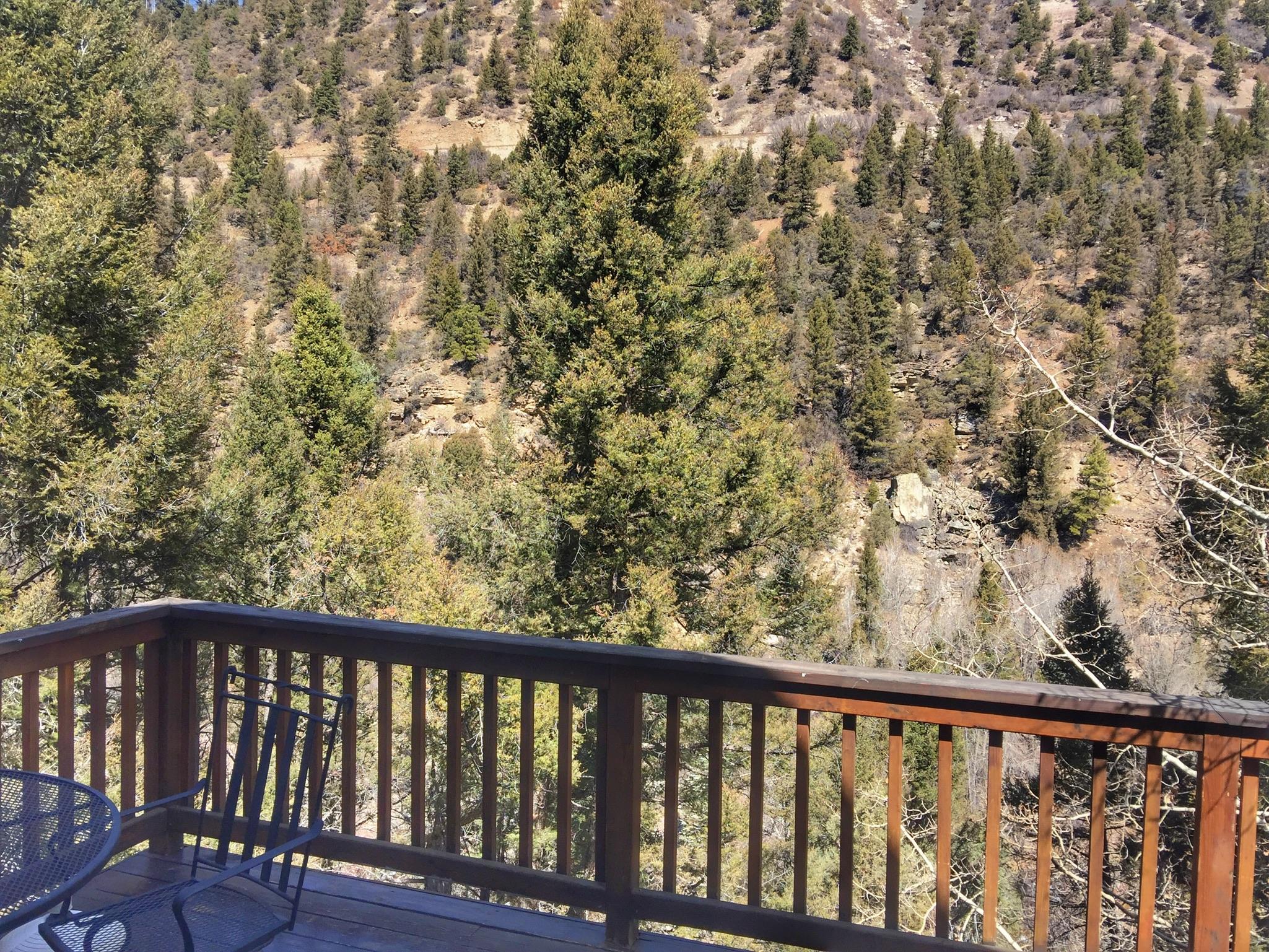 912 Two Rivers Drive Telluride, CO 81435 - Photo 11 of 15 Upper Deck off Living Room