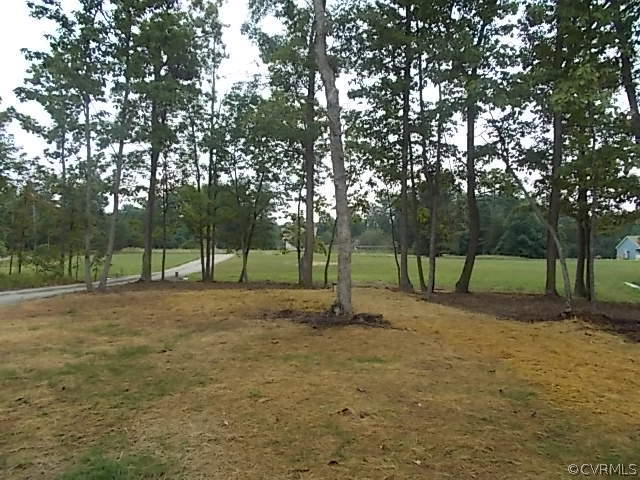 102 Jacoby Road Louisa, VA 23093 - Photo 23 of 24 a view of outdoor space with trees