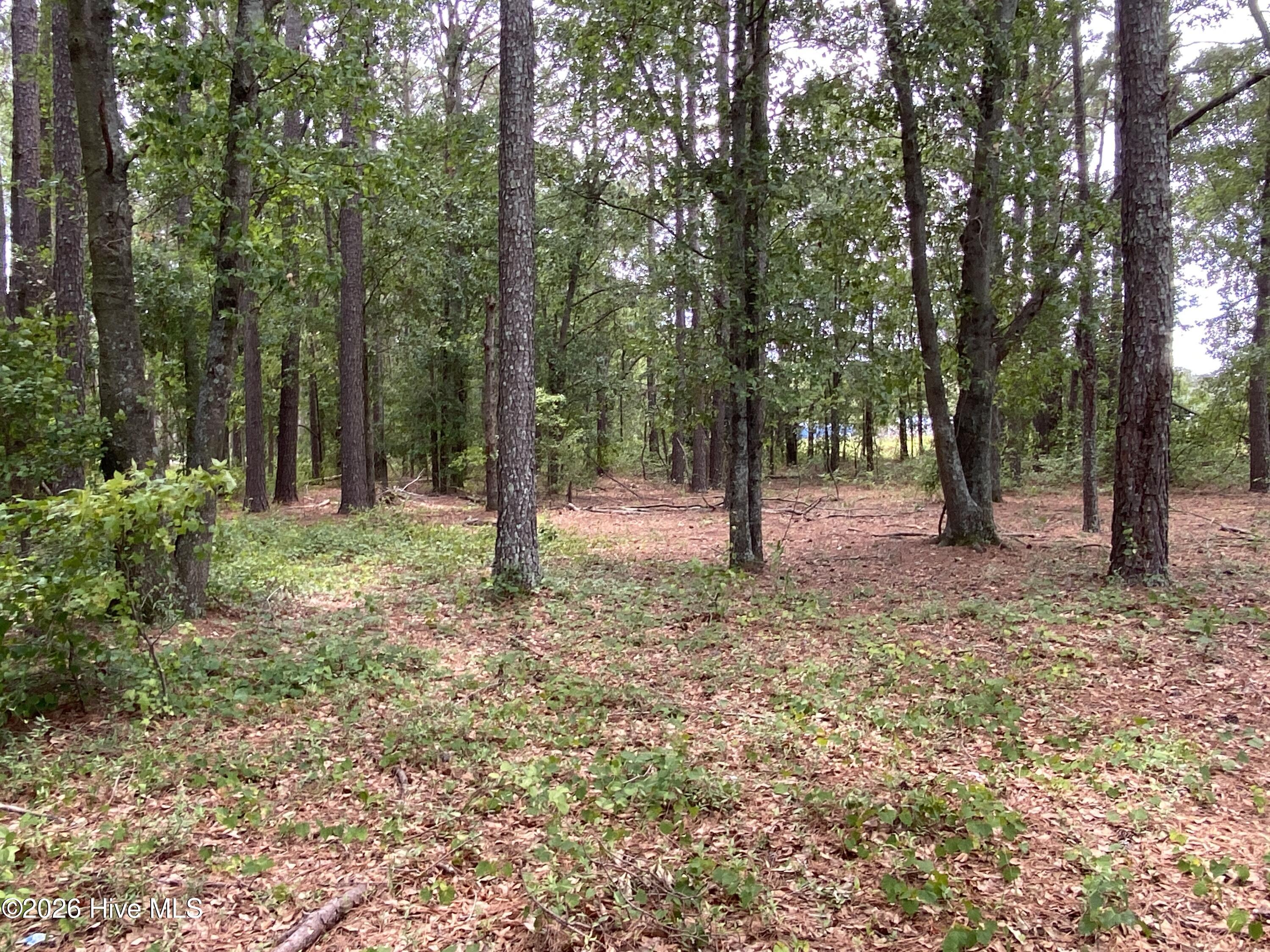 Tbd Hayne Stretch Road Roseboro, NC 28382 - Photo 21 of 31