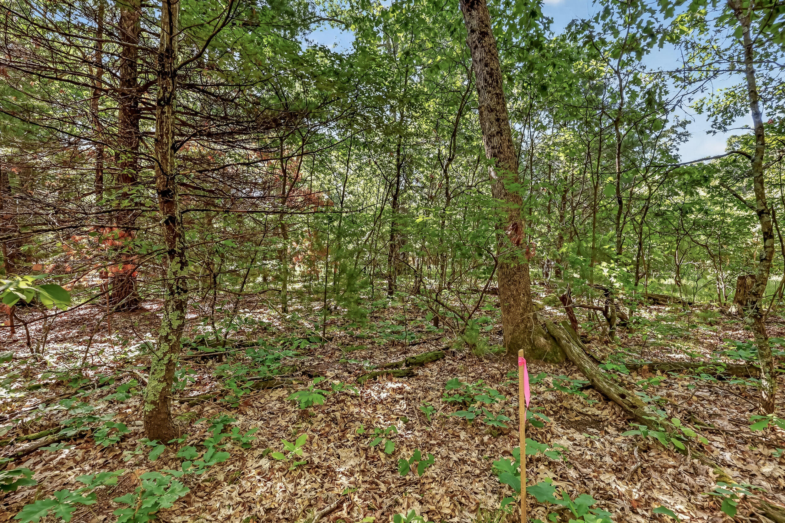 Vl West Michigan Road, Unit A Twin Lake, MI 49457 - Photo 7 of 15 527 w michigan parcel a-5