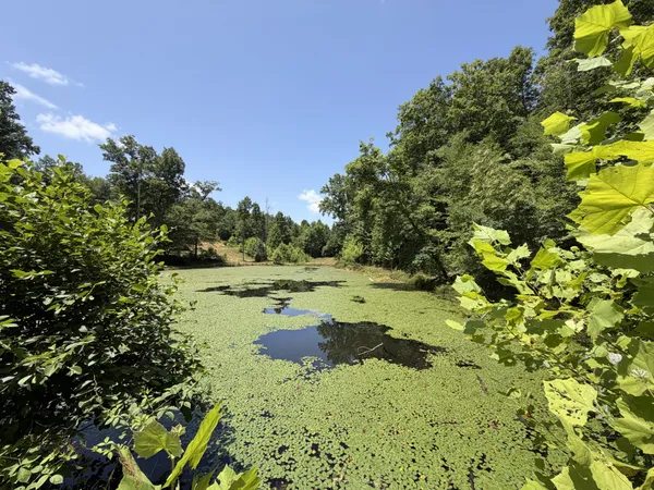 $655,200 | 215 Bar Bee Road, Hohenwald, TN 38462