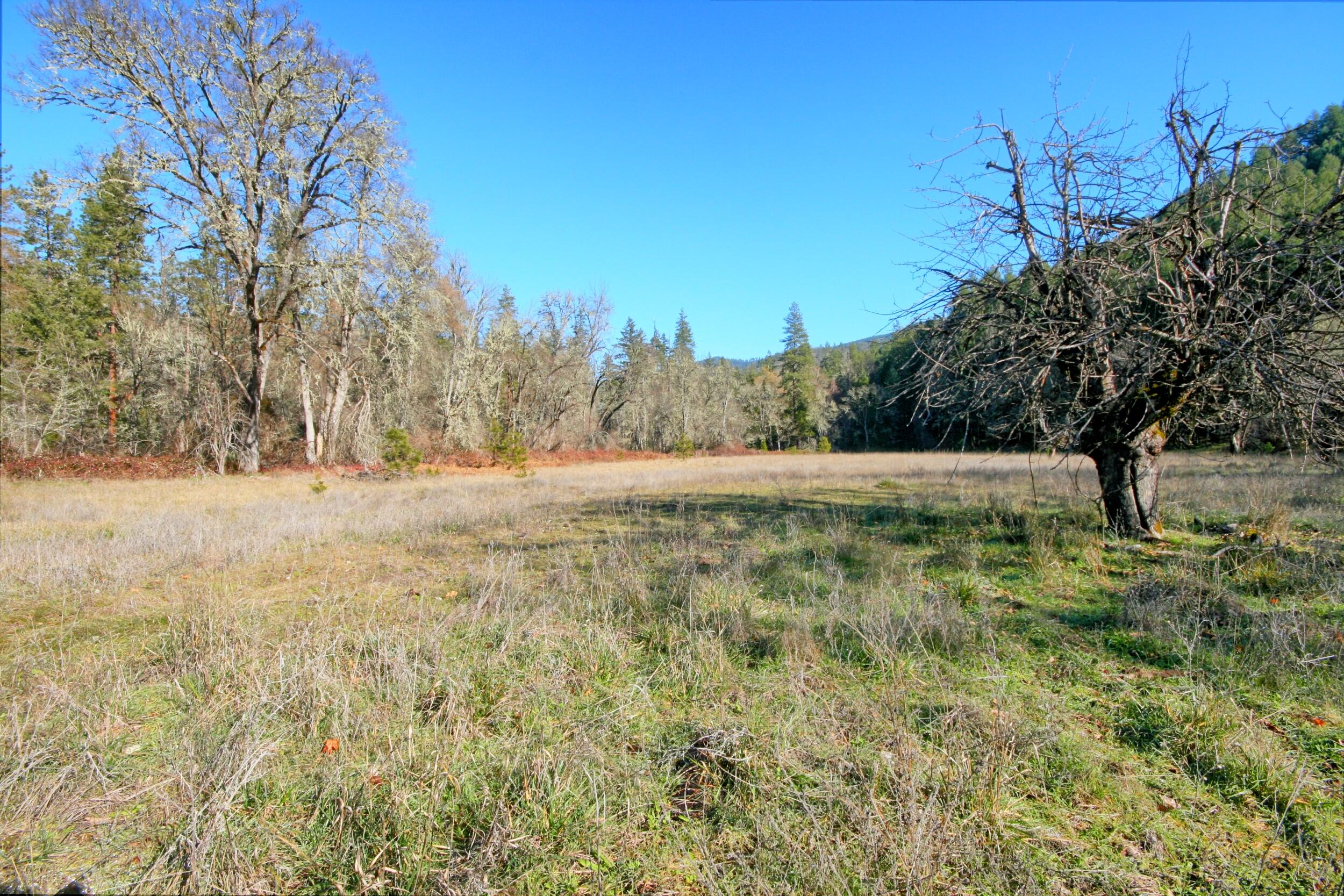 5000 Thompson Creek Road Jacksonville, OR 97530 - Photo 10 of 71 IMG_8854_5_6_easyHDR