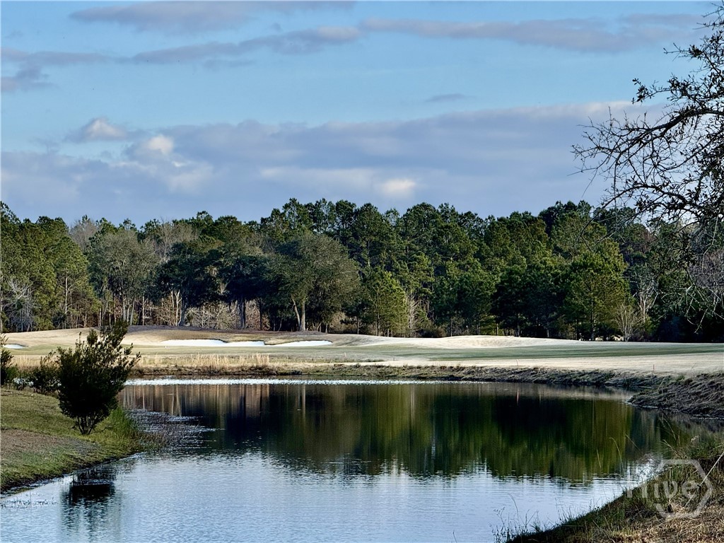 106 Danbury Court Pooler, GA 31322 - Photo 34 of 46 Golfing in Savannah Quarters