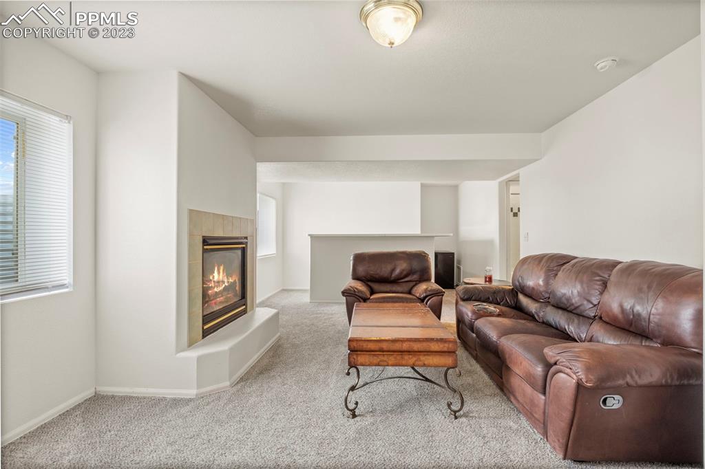 11916 Bonifay Loop Peyton, CO 80831 - Photo 26 of 42 a living room with furniture and a fireplace