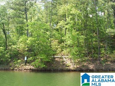 Springwater Cove, Unit 21 Wedowee, AL 36278 - Photo 1 of 7