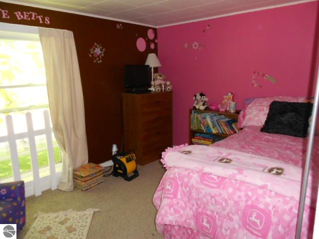 5619 West Van Buren Road Alma, MI 48801 - Photo 13 of 27 1784943-12.JPG