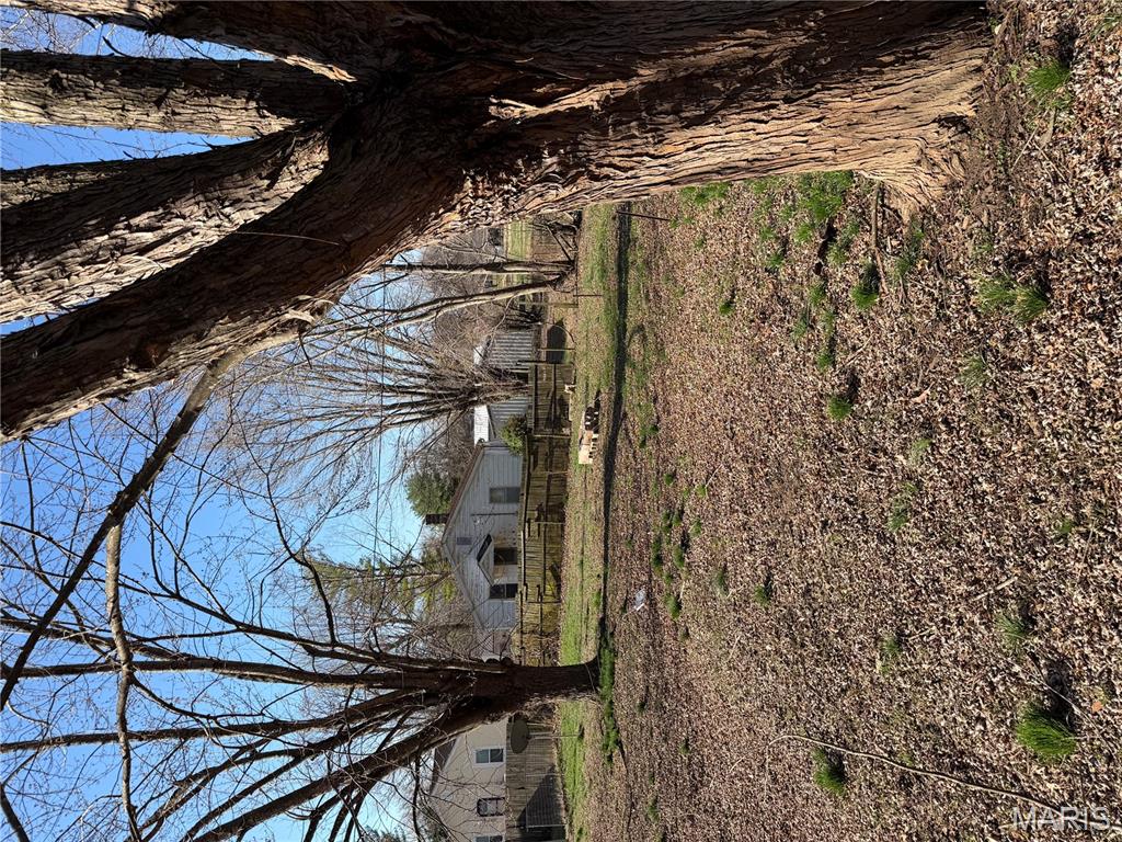 611 Bluff Road Prairie du Rocher, IL 62277 - Photo 4 of 27