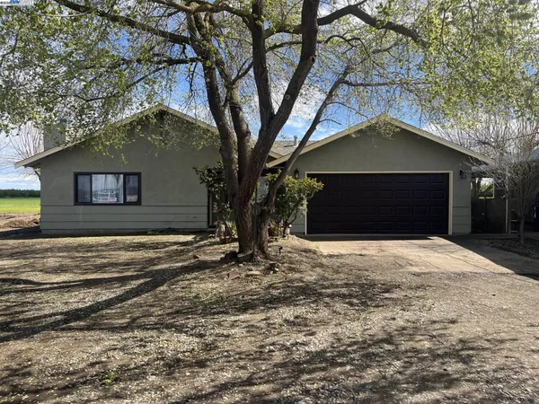 a house that has a tree in front of it