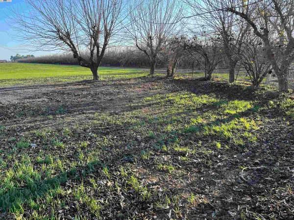 a view of an ocean and beach