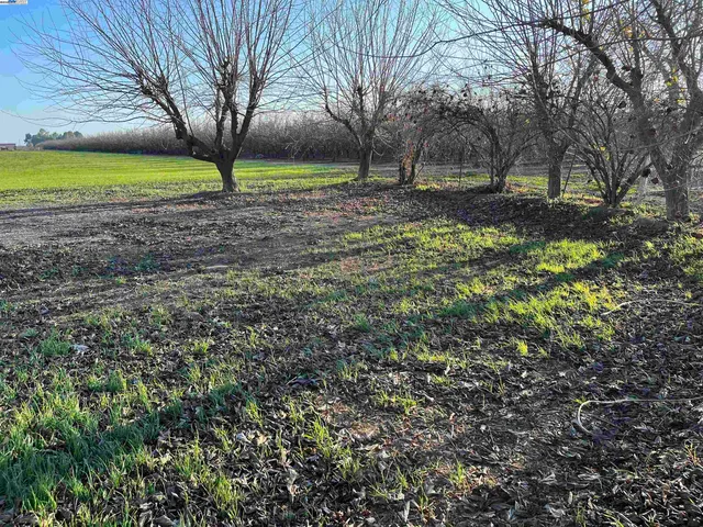 a view of an ocean and beach
