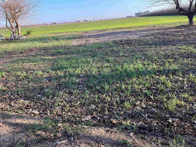 $1,000,000 | 1290 Orange Avenue, Patterson, CA 95363