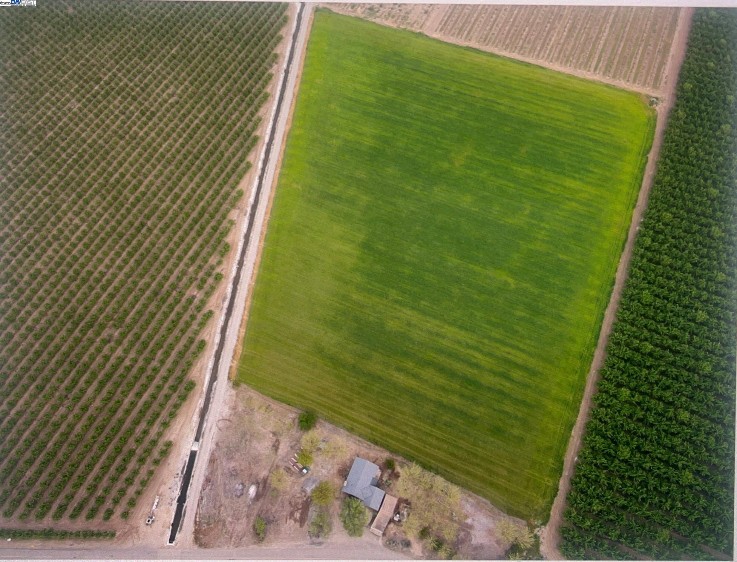 1290 Orange Avenue Patterson, CA 95363 - Photo 2 of 36 a view of a yard