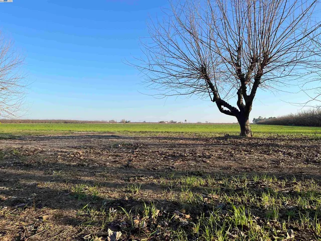 $1,000,000 | 1290 Orange Avenue, Patterson, CA 95363