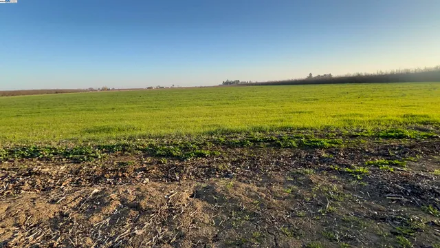 $1,000,000 | 1290 Orange Avenue, Patterson, CA 95363