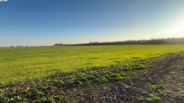 $1,000,000 | 1290 Orange Avenue, Patterson, CA 95363