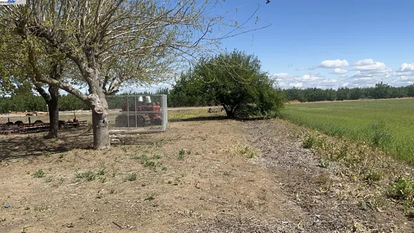 a view of a backyard with large trees
