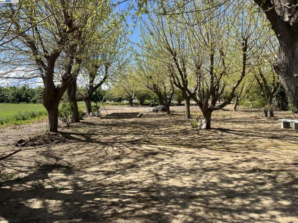 a view of road with trees