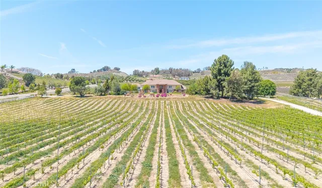 a view of a lake with a yard