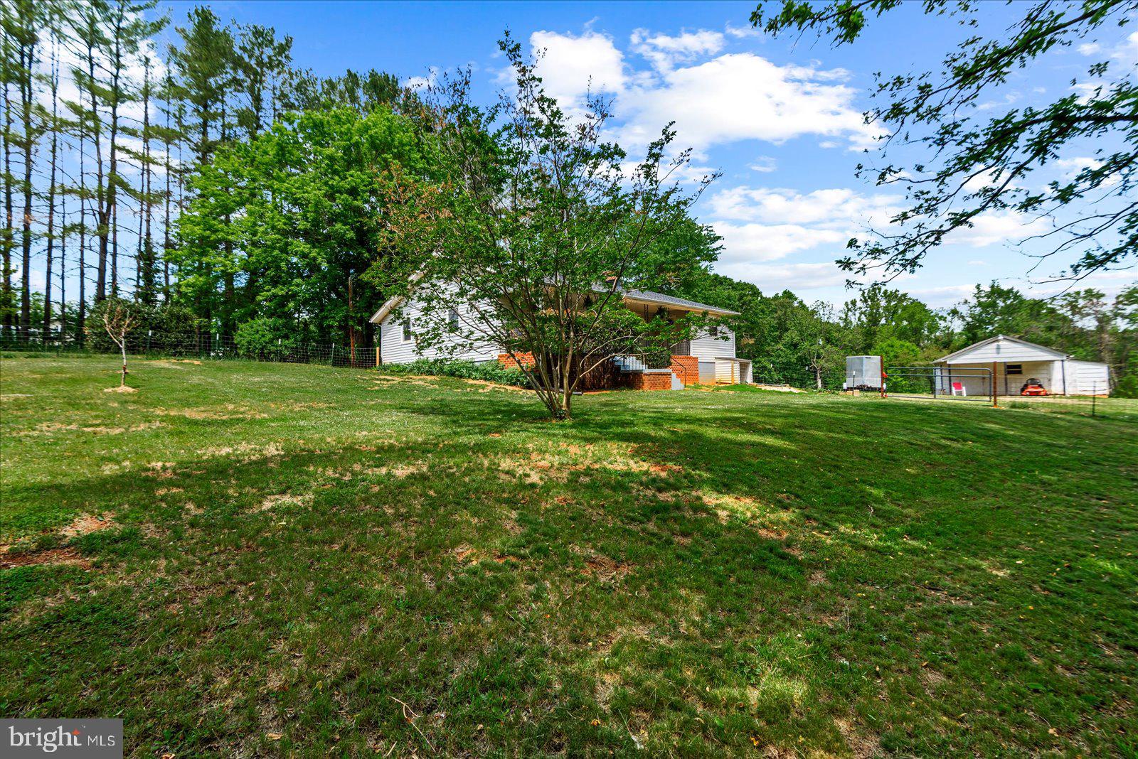 679 Resettlement Road Madison, VA 22727 - Photo 3 of 47 a view of a garden with a tree