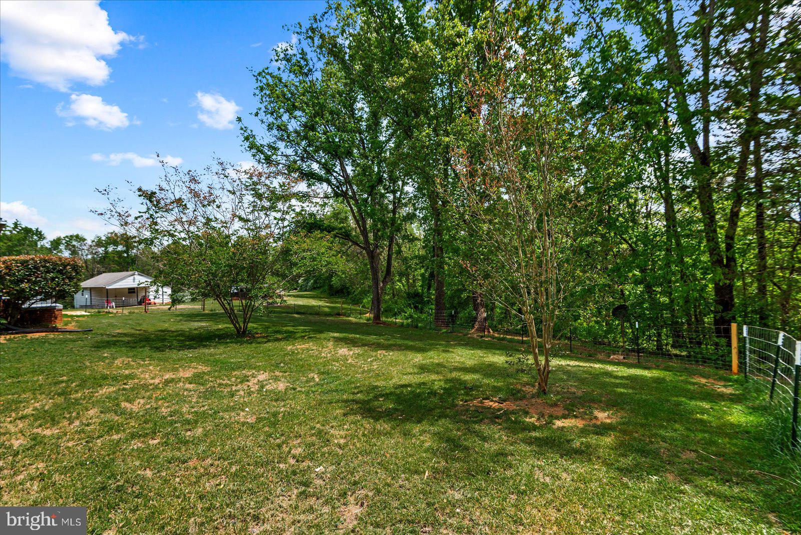 679 Resettlement Road Madison, VA 22727 - Photo 40 of 47 a view of a tree in a yard