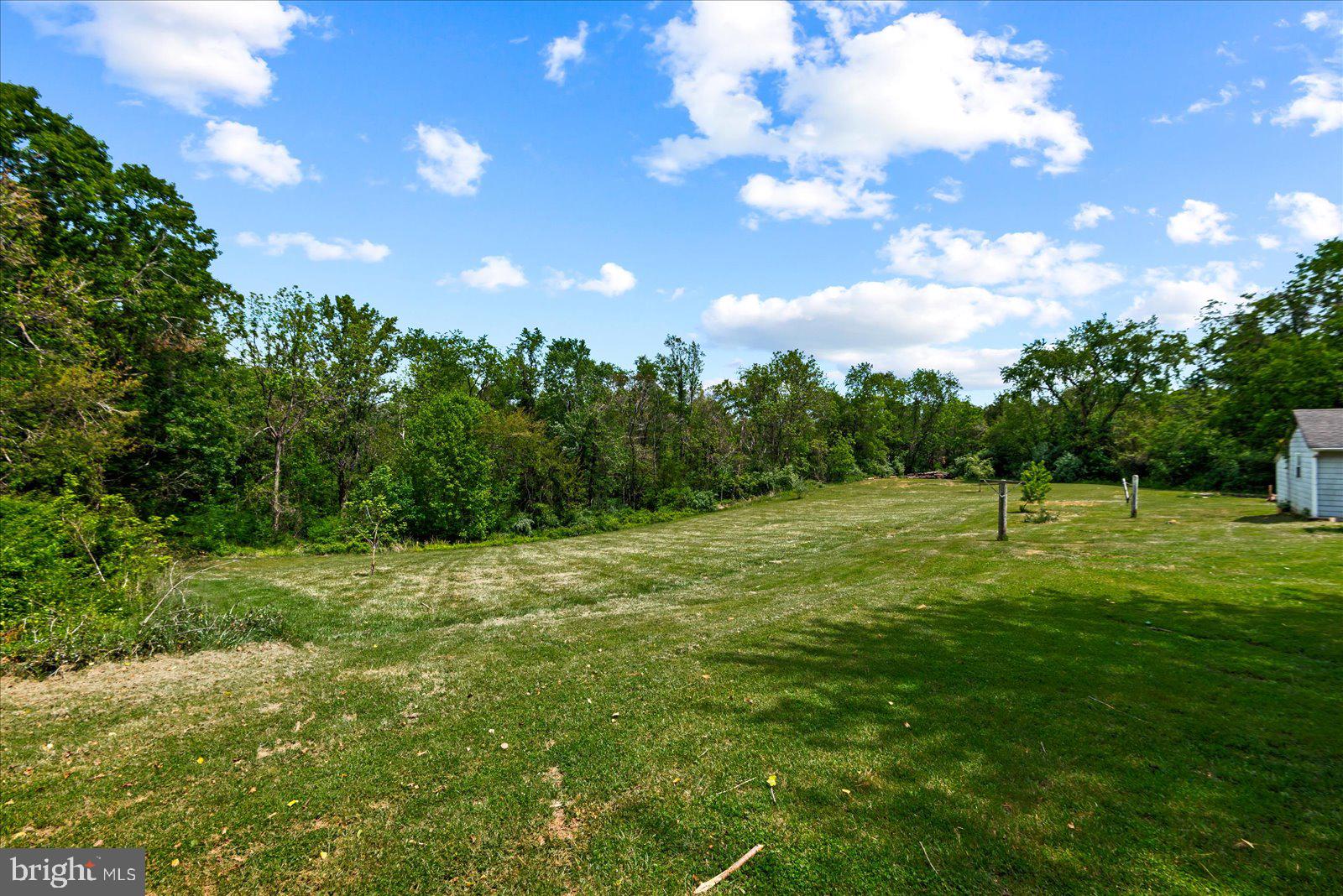679 Resettlement Road Madison, VA 22727 - Photo 44 of 47 a grassy field with trees in the background
