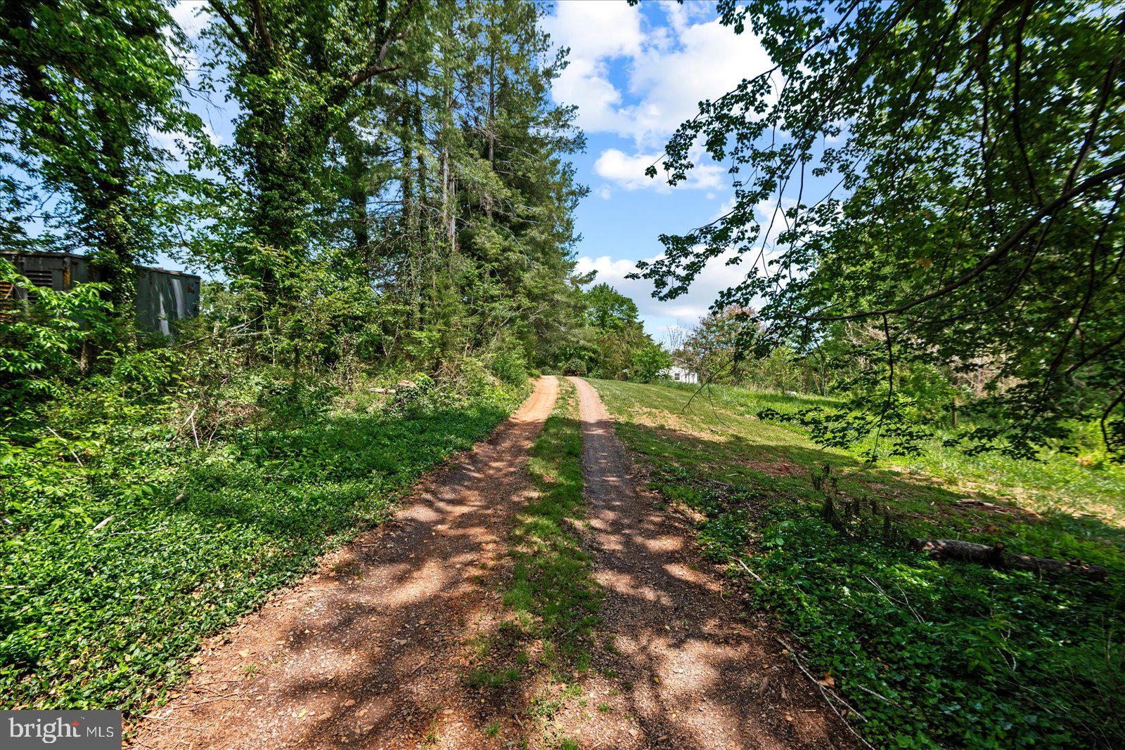 679 Resettlement Road Madison, VA 22727 - Photo 45 of 47 a plant view in yard