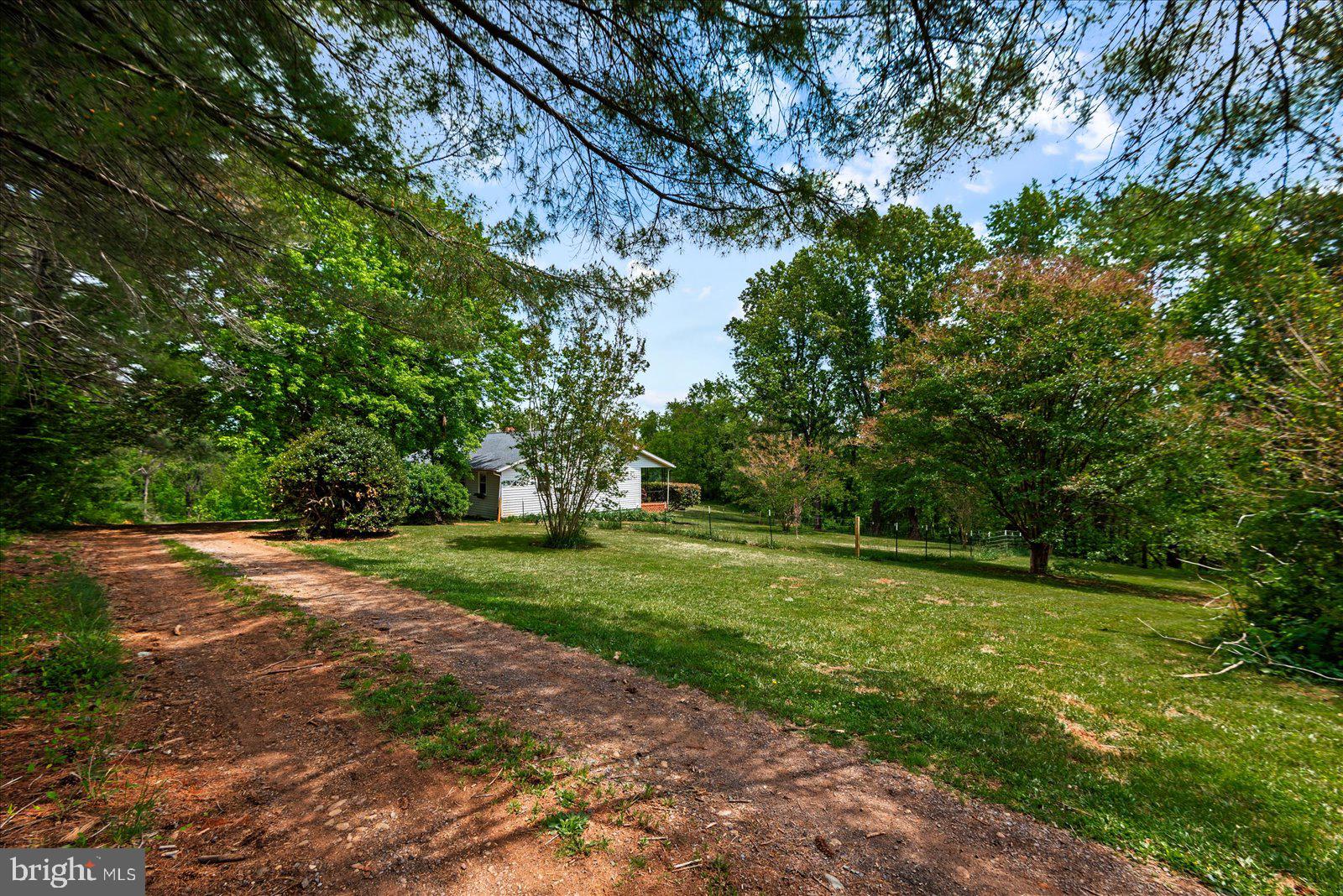 679 Resettlement Road Madison, VA 22727 - Photo 46 of 47 a view of a big yard with plants and large trees