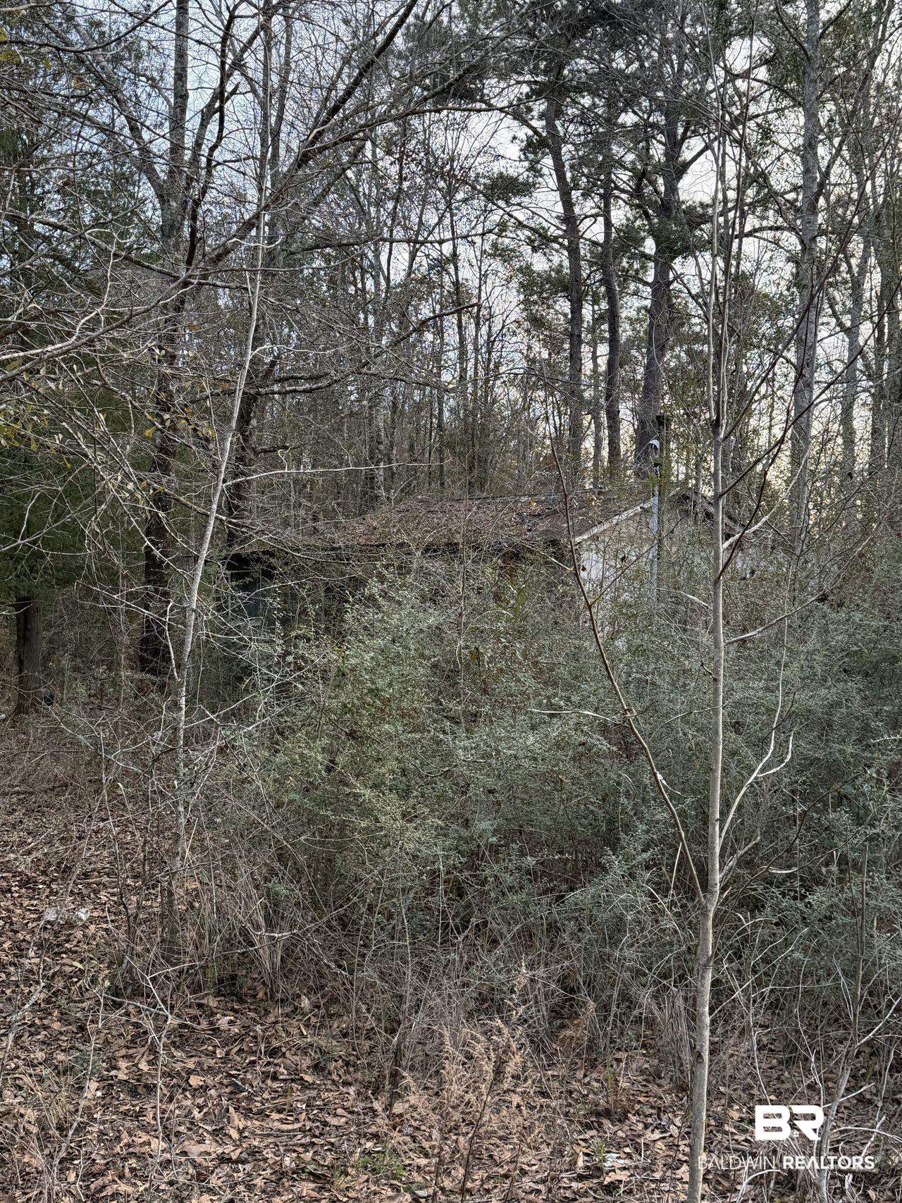 0 Harmon Williams Road Mobile, AL 36608 - Photo 12 of 12