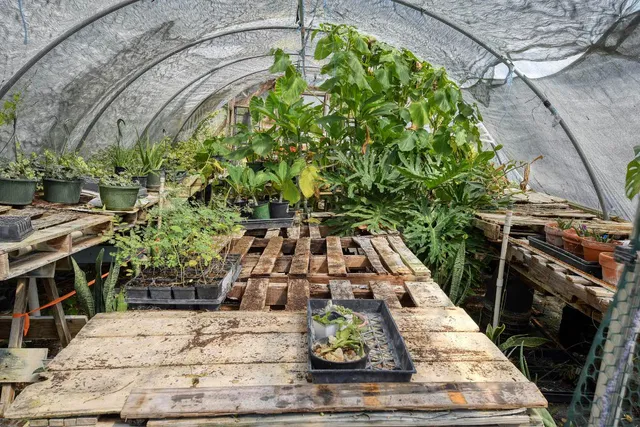 $549,000 | 1114 Spotted Horse Trail, Dale, TX 78616