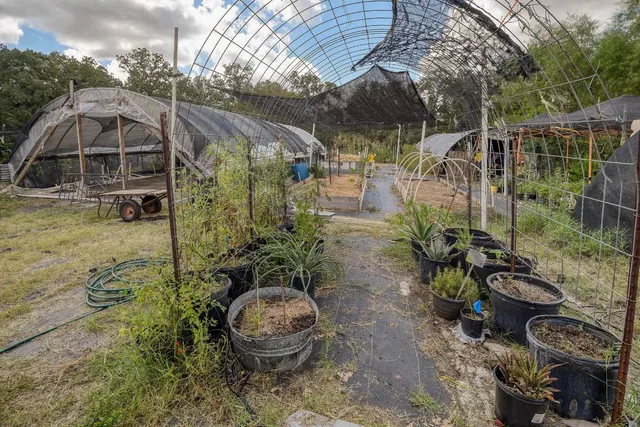 $549,000 | 1114 Spotted Horse Trail, Dale, TX 78616