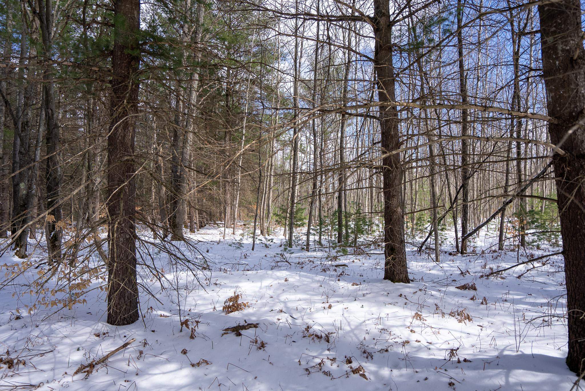 V/l Metzgar Road Northwest Kalkaska, MI 49646 - Photo 21 of 21
