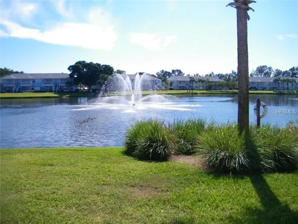 a lake view with a big yard and palm trees