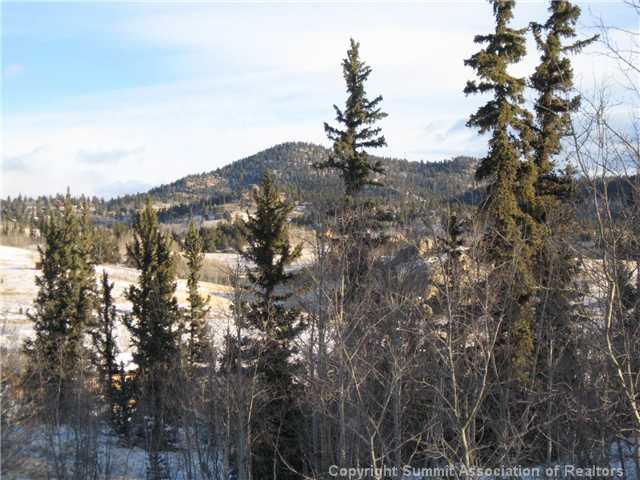 54 Pepperbox Path Como, CO 80432 - Photo 1 of 9 Gallery Image 1