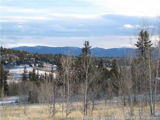 54 Pepperbox Path Como, CO 80432 - Photo 3 of 9 Gallery Image 3