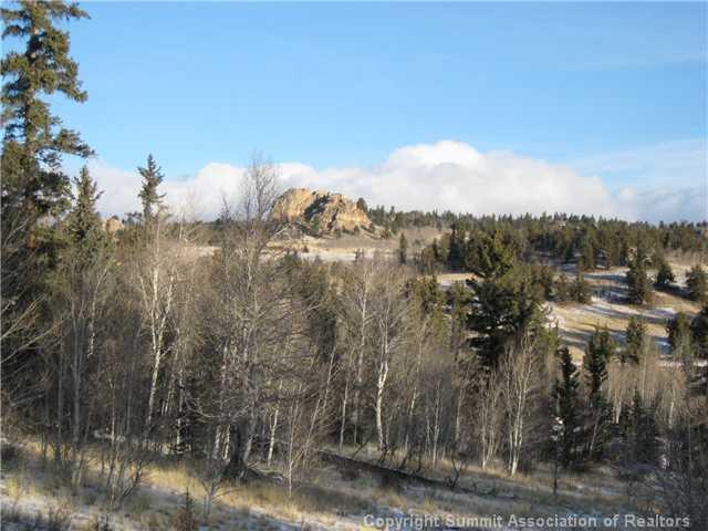 54 Pepperbox Path Como, CO 80432 - Photo 4 of 9 Gallery Image 4