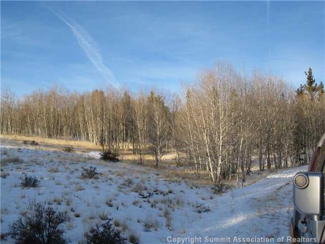 54 Pepperbox Path Como, CO 80432 - Photo 5 of 9 Gallery Image 5