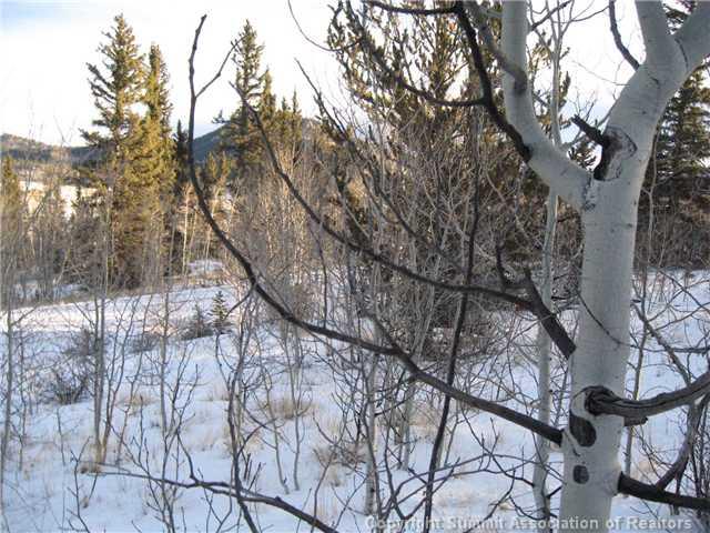 54 Pepperbox Path Como, CO 80432 - Photo 6 of 9 Gallery Image 6